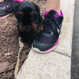 Meet your Posher, Cindy